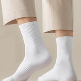 All-Season Cushioned Sport Socks