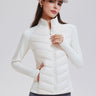 AeroShield Down Jacket